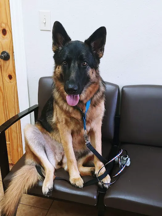 Alma Animal Clinic 1