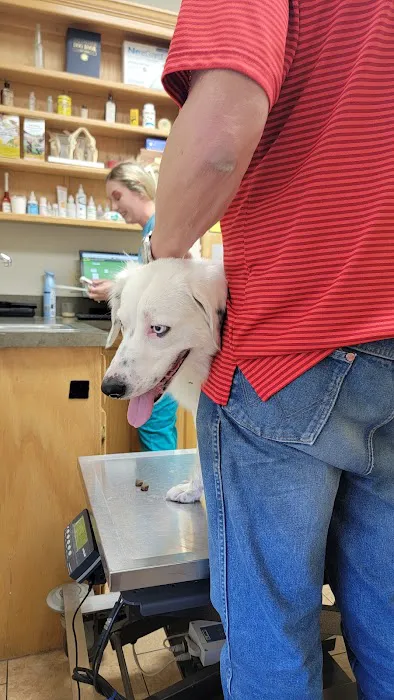 Alma Animal Clinic 5