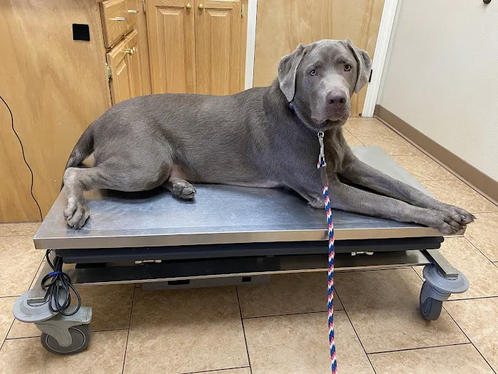 Alma Animal Clinic 7