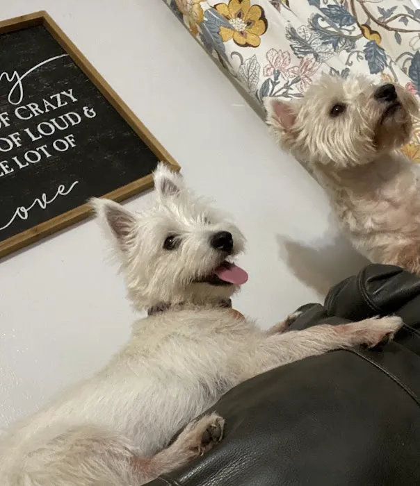 Greenwood Vet Clinic 2