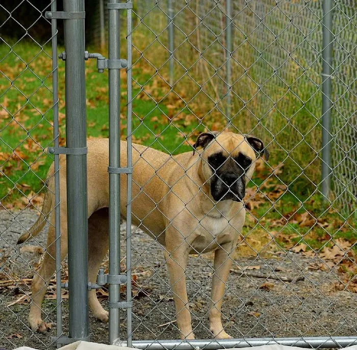 Greenwood Vet Clinic 4