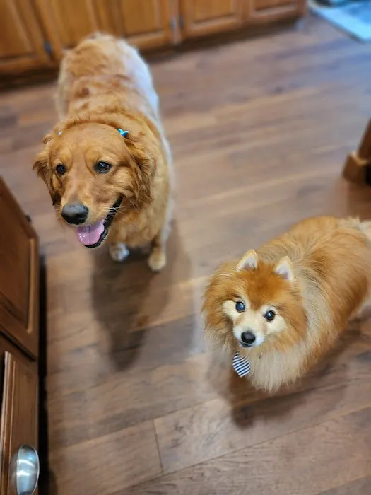 Greenwood Vet Clinic 1