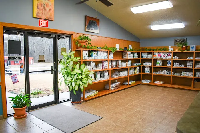 South County Animal Hospital, A Thrive Pet Healthcare Partner 8