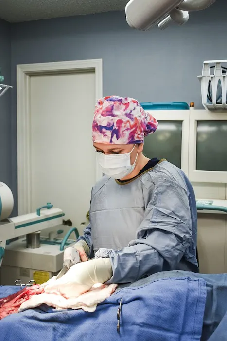 South County Animal Hospital, A Thrive Pet Healthcare Partner 6