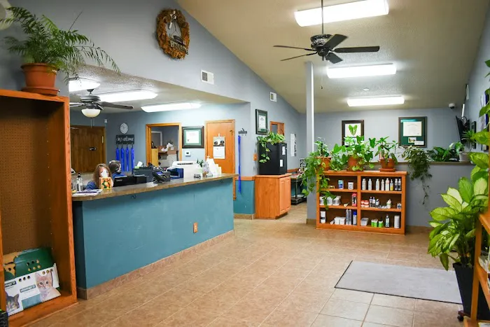 South County Animal Hospital, A Thrive Pet Healthcare Partner 1