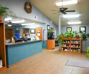 South County Animal Hospital, A Thrive Pet Healthcare Partner
