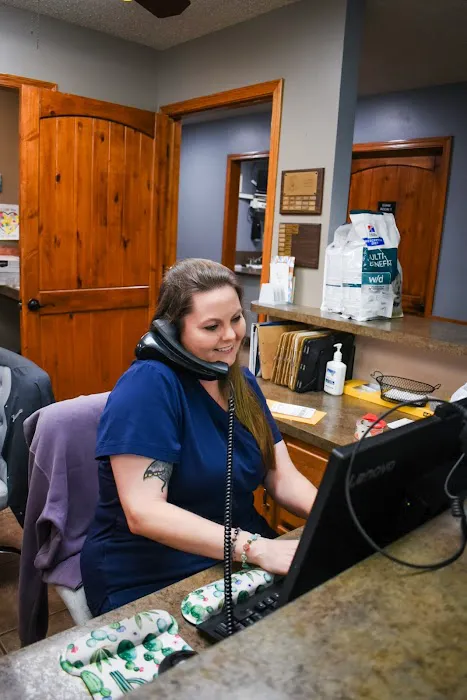 South County Animal Hospital, A Thrive Pet Healthcare Partner 9