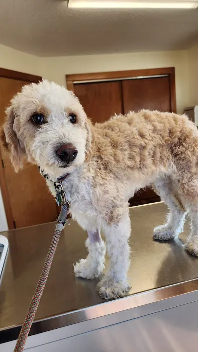 Wiscasset Veterinary Hospital 2
