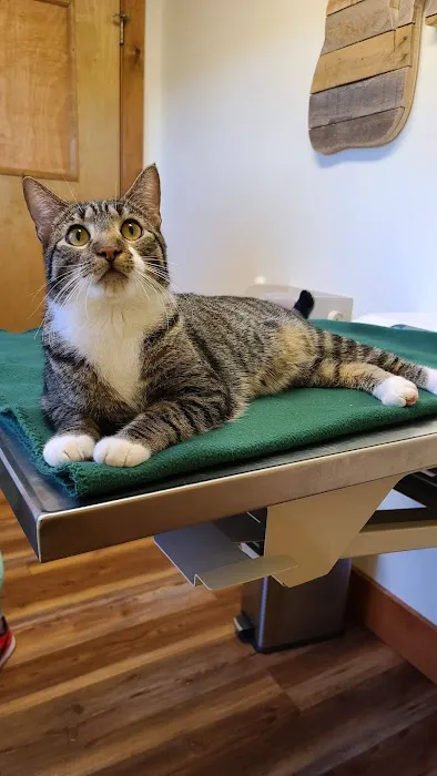 Wiscasset Veterinary Hospital 1