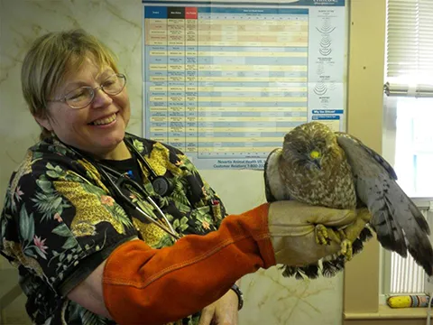 Damariscotta Veterinary Clinic 7