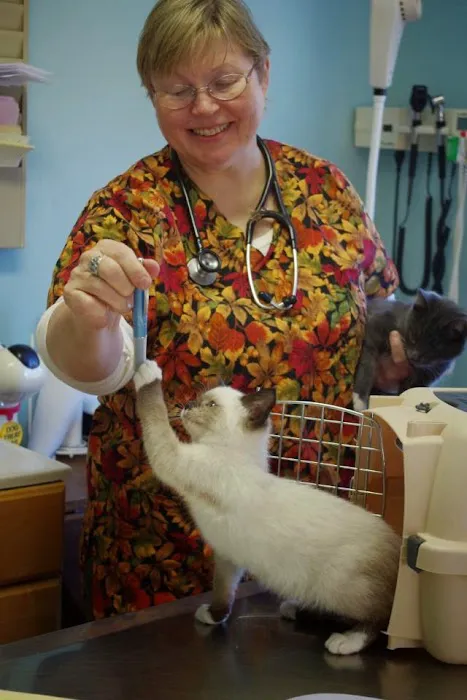 Damariscotta Veterinary Clinic 2