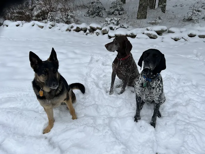 Boothbay Animal Hospital 5