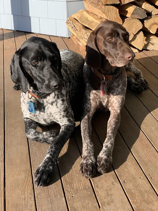 Boothbay Animal Hospital 4