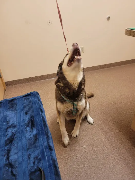 Boothbay Animal Hospital 2