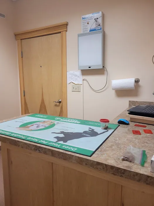 Boothbay Animal Hospital 1