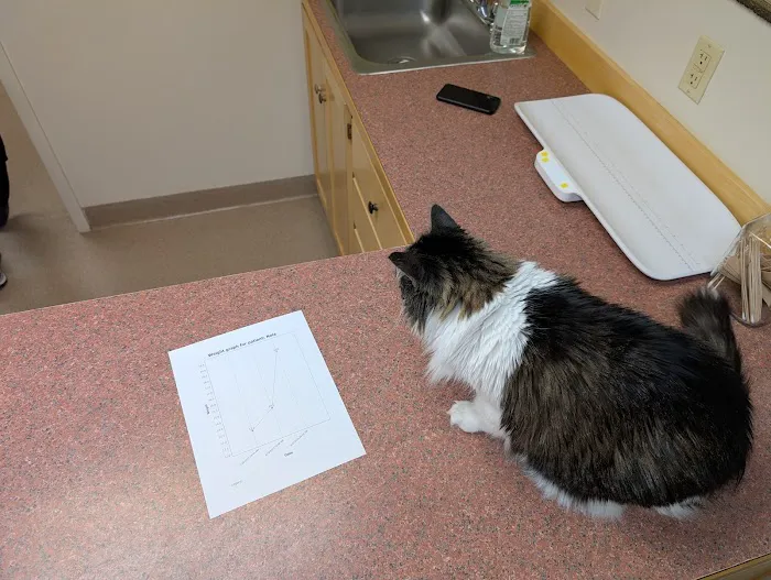 Medomak Veterinary Services 9