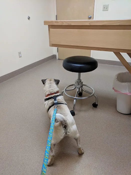 Medomak Veterinary Services 10