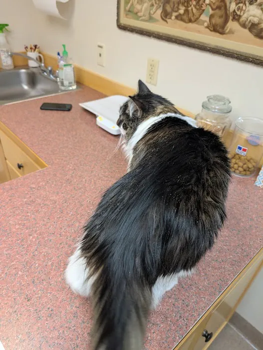Medomak Veterinary Services 8