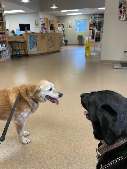 Medomak Veterinary Services 4