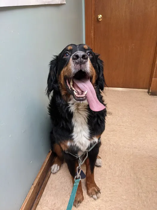 Champlain Veterinary Clinic 7