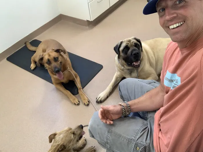 Champlain Veterinary Clinic 6