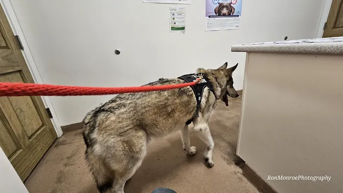 Champlain Veterinary Clinic 5