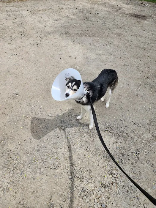 Candor Animal Care P.C. 5