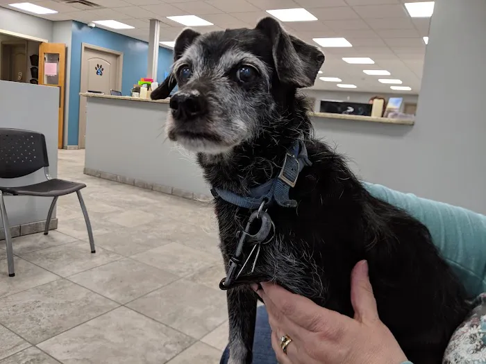 Endless Mountains Veterinary Center, PC - Owego Veterinary Hospital 7