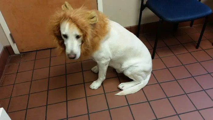 Endless Mountains Veterinary Center, PC - Owego Veterinary Hospital 5