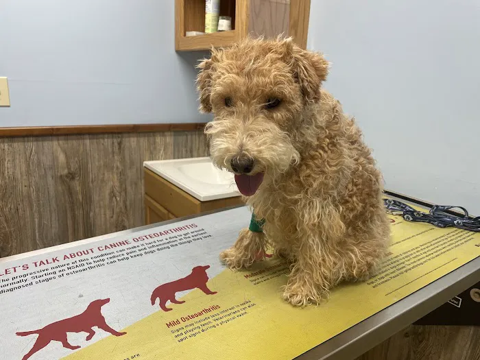 Laurel Hill Veterinary Service, Inc. 4