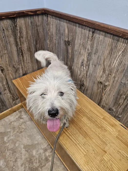 Laurel Hill Veterinary Service, Inc. 7