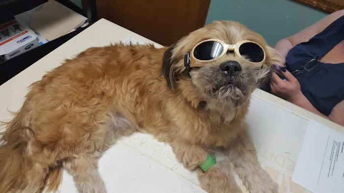 Towanda Creek Animal Hospital 9