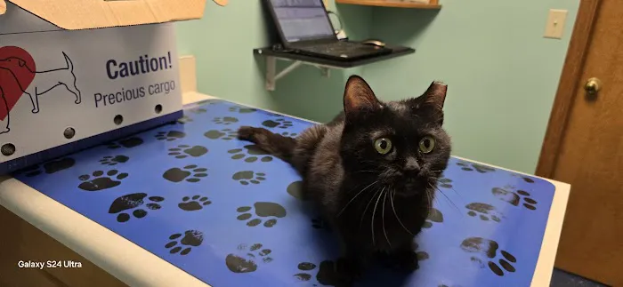 Towanda Creek Animal Hospital 2