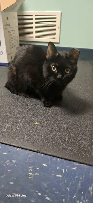 Towanda Creek Animal Hospital 3