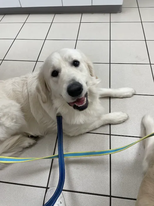 Lewiston Animal Hospital 6