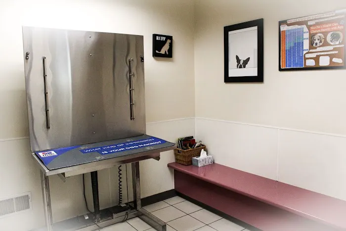 Lewiston Animal Hospital 4