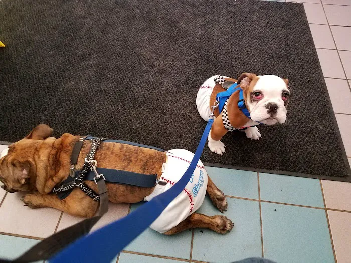 Lewiston Animal Hospital 9