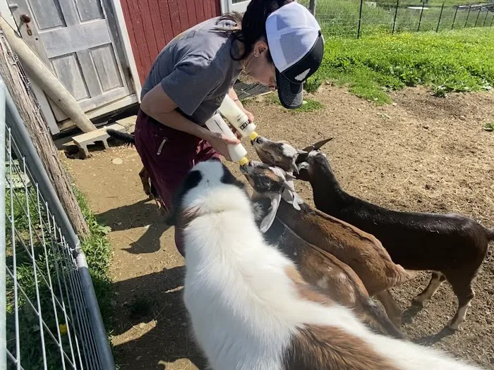 Horse And Hound Veterinary Services 1