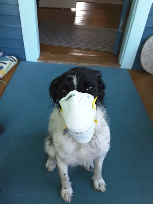 Harbor Road Veterinary Hospital 3