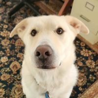Harbor Road Veterinary Hospital ico