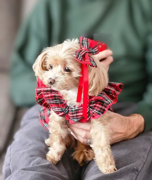 Rockland Animal Hospital 1