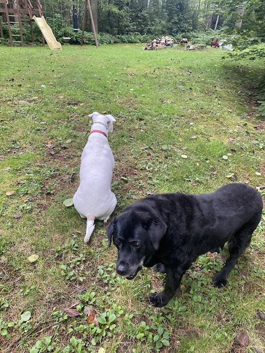 Rockland Animal Hospital 7