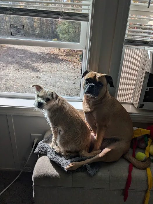 Rockland Animal Hospital 10