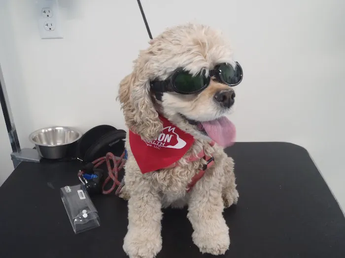 Rockland Animal Hospital 9