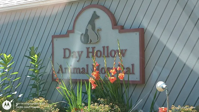 Day Hollow Animal Hospital PC 5
