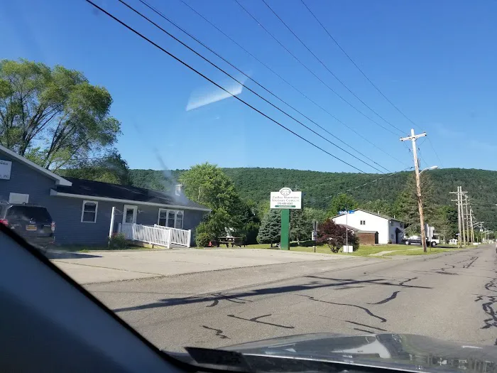 Endless Mountains Veterinary Center, PC 2