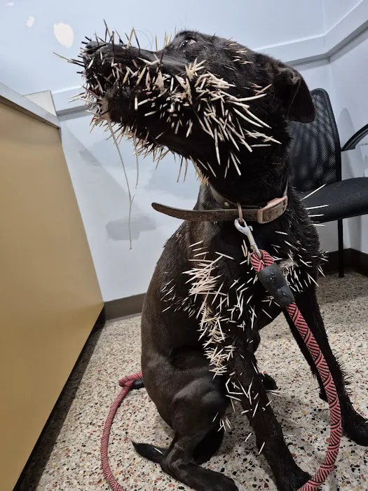 Athens Animal Hospital 5
