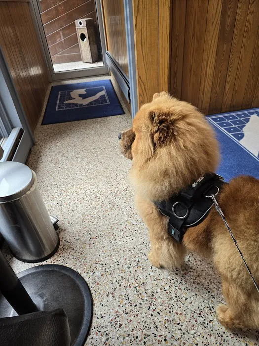 Athens Animal Hospital 10