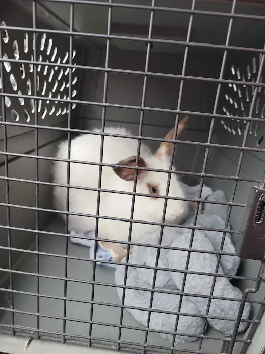 Camden Hospital For Animals: Contakos Stacey DVM 3