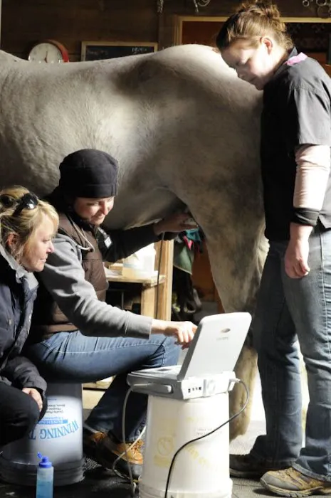 Third Coast Equine Veterinary Services, LLC 7